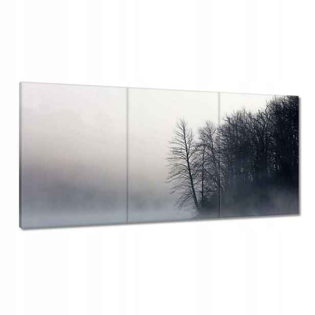 Obrazy 120x60 Mlžný les Zima