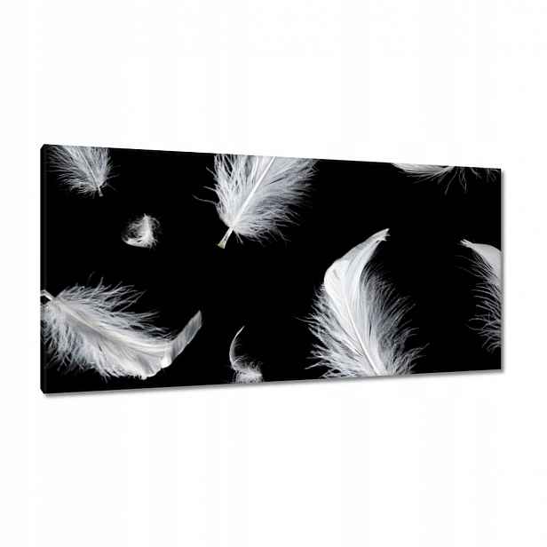 Obrazy 115x55 Bílé padající peří