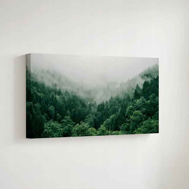 Obraz na plátně Les v mlze, moderní dekorace na zeď, 70x50 cm