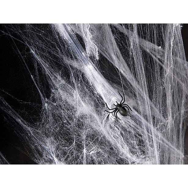 Pavučina Bílá Halloween S Černými Pavouky 60 G Ozdoba Dekorace