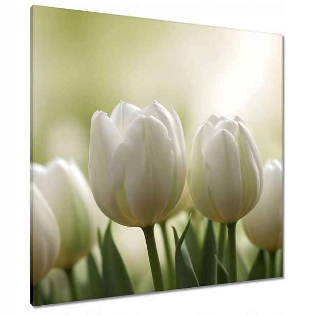 Obrazy 90x90 Bílé tulipány
