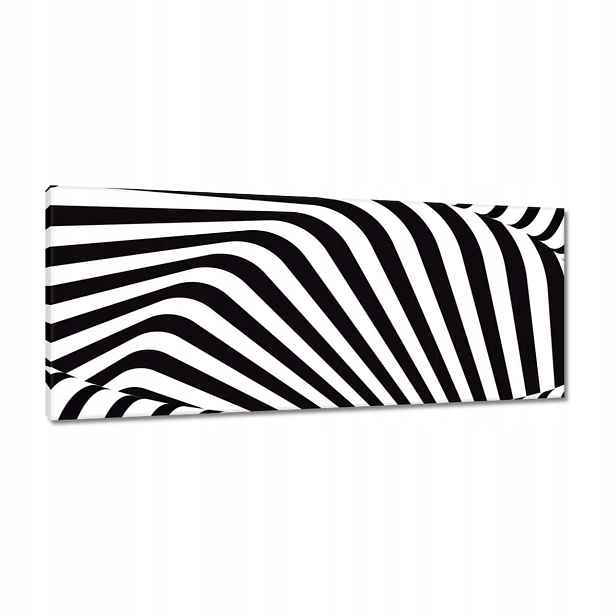 Obrazy 100x40 Abstrackja černobílá