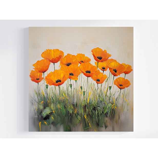 Obraz Na Plátně Obraz Na Plátně Natura Zahrada Louka Květy Oranžové Máky 50x50