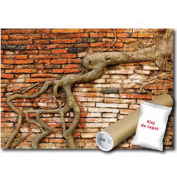 Vinylová Fototapeta Cihlová Zeď Imitace Kořen Dřevo Větev 152x104