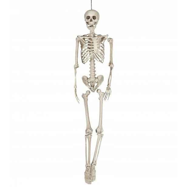 Dekorace Umělá Kostra Kostlivec Velká 160 CM Halloweenských Kostek