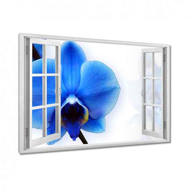 Obrazy 90x60 Modrý orchidej