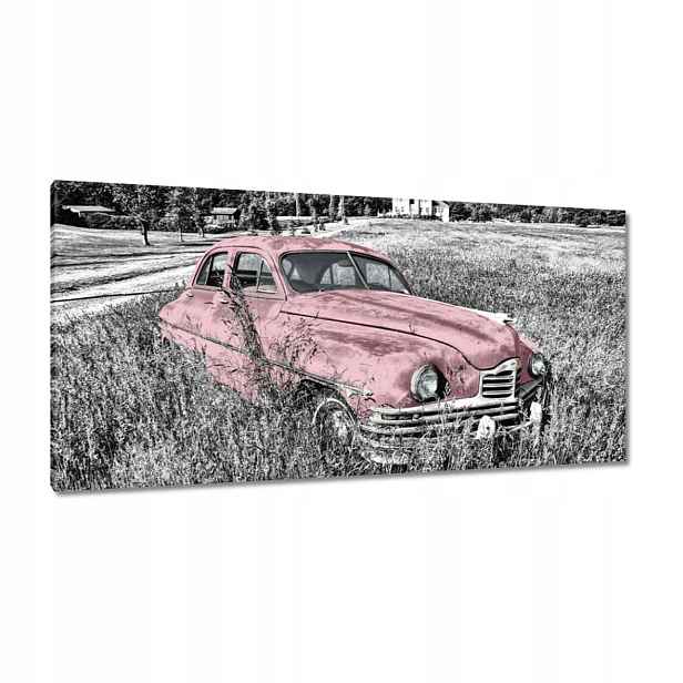 Obrazy 115x55 Růžová babička Historická