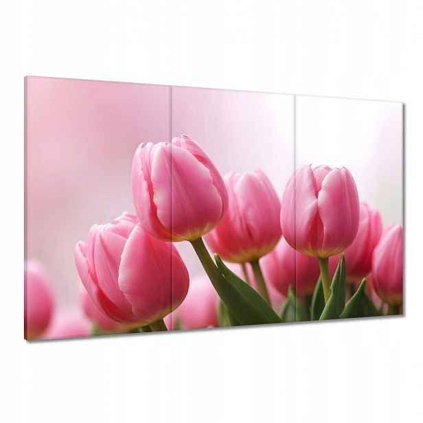 Obrazy 120x80 Růžové tulipány