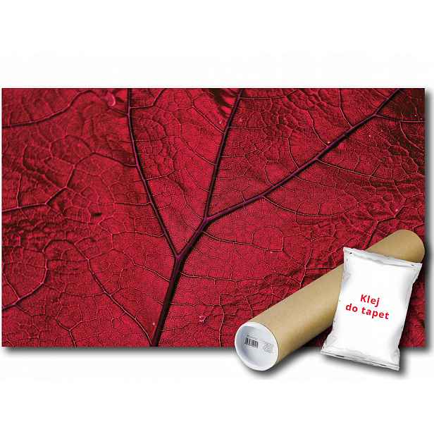 Vinylová Fototapeta Červený List Makro Rostlinnost Příroda 152x104