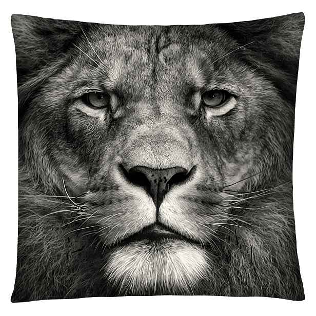 Povlak na polštář ANIMAL 41 - LEV Mybesthome 40x40 cm