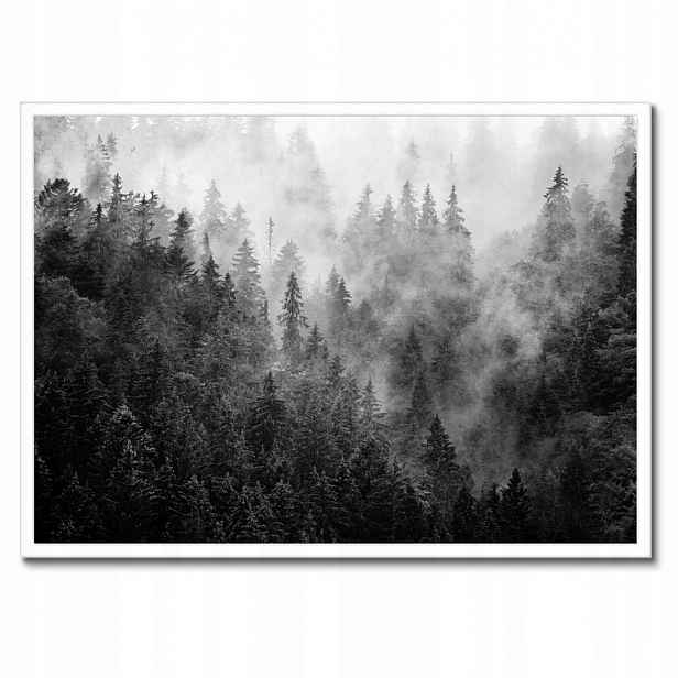 Plakáty v rámu 70x50 Krajina Šedá Hory Mlha