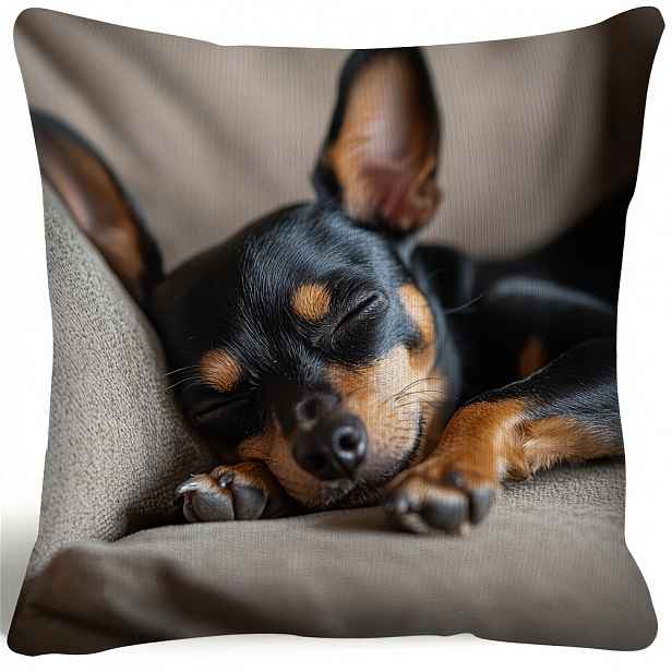 TEMU 1 ks Mini povlak na polštář s beagle, jednostranný chihuahua, moderní domácí dekorace do obývacího pokoje a ložnice, dárkový set pro milovníky