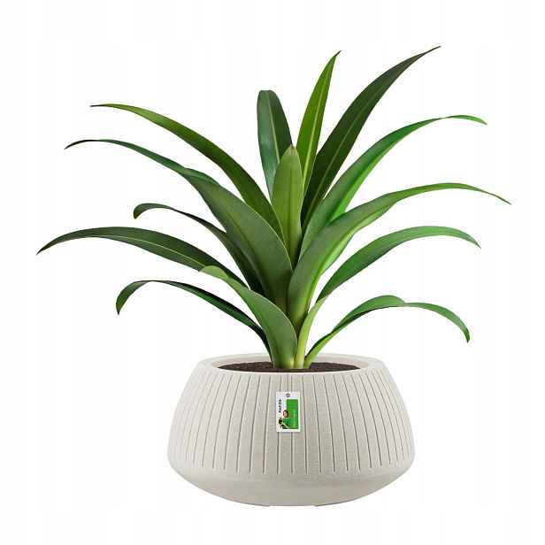 Květináč kulatý premium Ethick Coro Bowl TCB40 pískový s odtokem