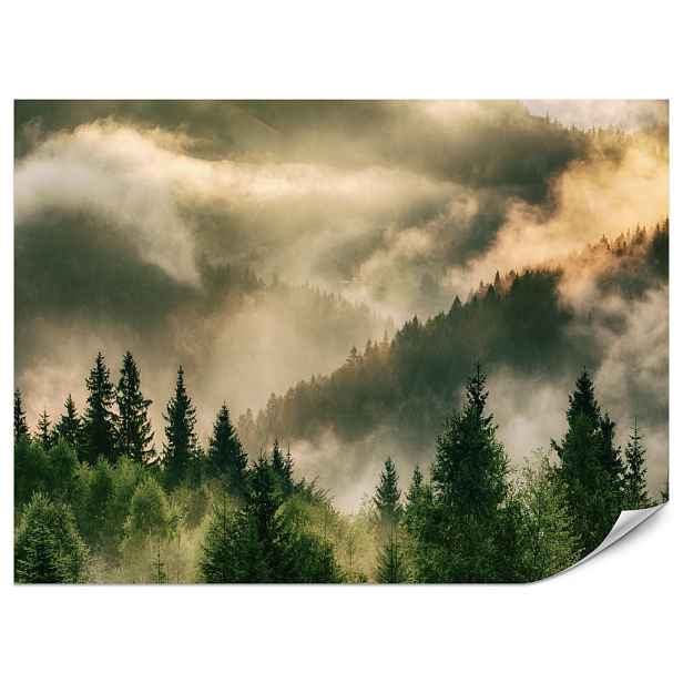 Muralo FOTOTAPETA do Obývacího Pokoje Mlžná Krajina Horský Les Jehličnaté Stromy 200x140