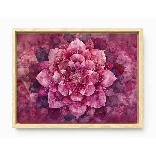 Obraz Rám American Box Růžová Mandala Lotosu Harmonie Vloček 80x60