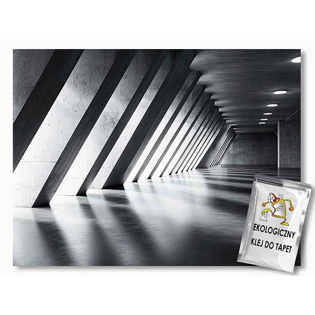 Fototapeta Flizelina Chodba Hala Beton 3D Šedá Hloubka 416x290 130g