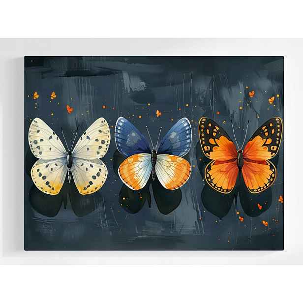 Plakát Fauna Příroda Barevné Motýli Hmyz 100x75