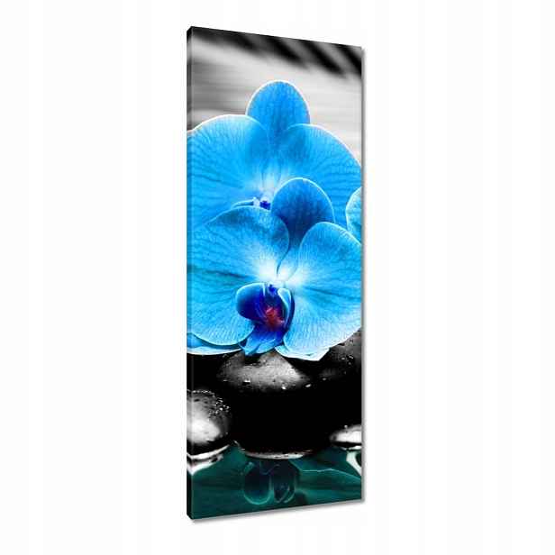 Obrazy 40x100 Tyrkysový orchidej Květina
