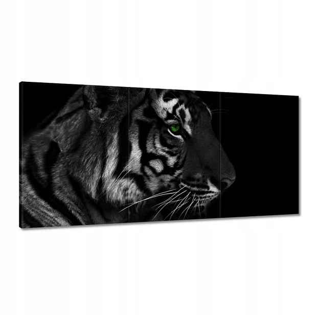 Obrazy 180x90 Tygr