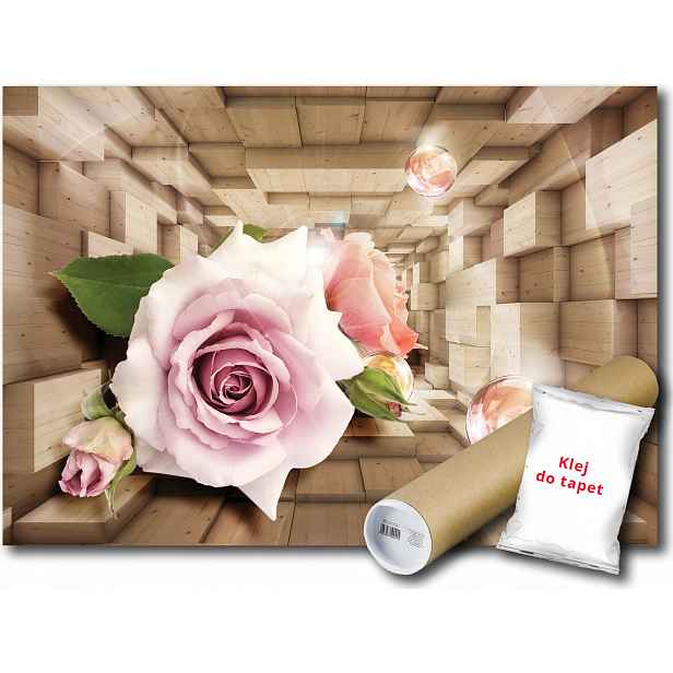 Fototapeta Tunel Růže 3D 10C V8 368x254 F3357