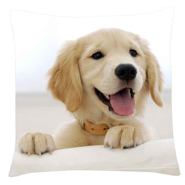 Povlak na polštář s motivem psa 26 Retriever Mybesthome 40x40 cm
