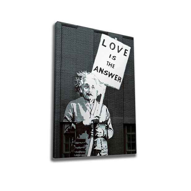 Wallity Obraz na plátně Einstein WY32 50x70 cm