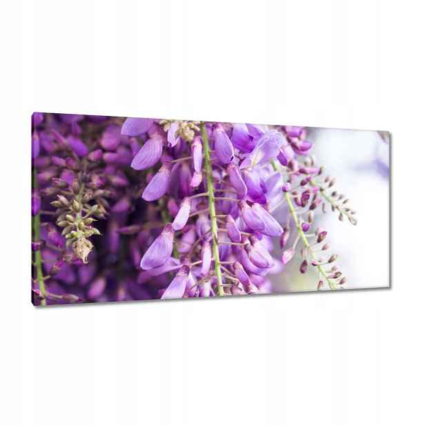 Obrazy 115x55 Fialové květiny