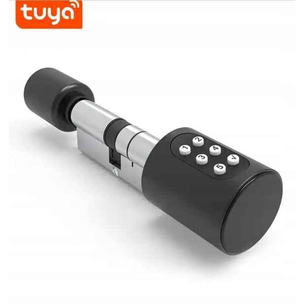 Vložka Do Zámku Držák Cylindrická Klika Bluetooth Pin Tuya Pl 60 MM