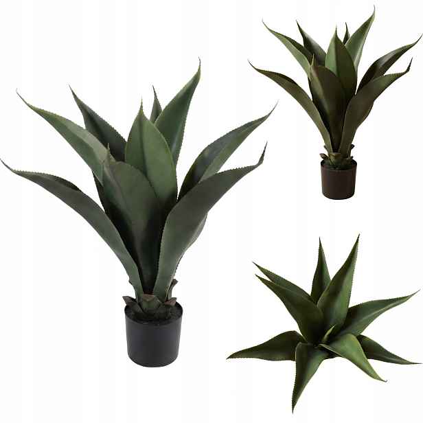 Umělá Aloe V Květináči 60 CM Zelená, Plastová Barva