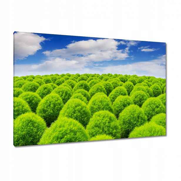 Obrazy 120x80 Zelený pohled Dolina