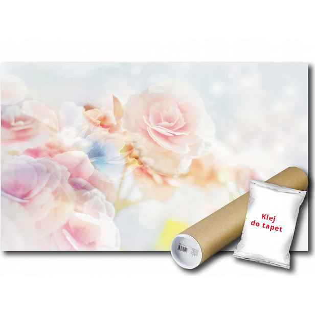 Fototapeta Květiny Růže 15B F2XL 312x219 F2701