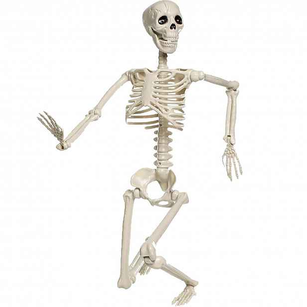 Dekorace Halloween Kostra člověka Kostlivec Pohyblivá Lebka 94 Cm