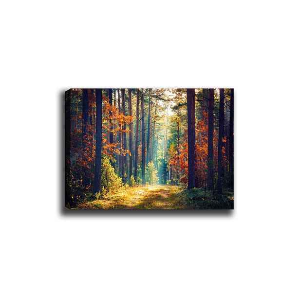 Wallity Obraz na plátně Miracle forest 50x70 cm