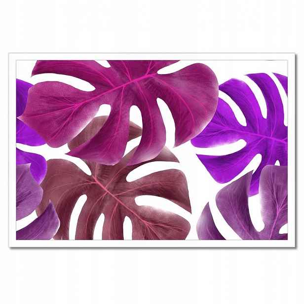 Plakáty v rámu 60x40 Monstera Listy Fialová