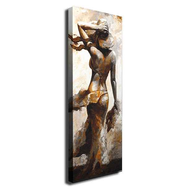 Wallity Obraz na plátně Nostalgic beauty PC108 30x80 cm