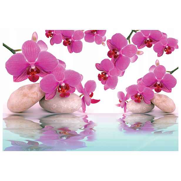 Fototapeta Orchideje kameny voda vinylová jemná růžová 208x146 lepidlo