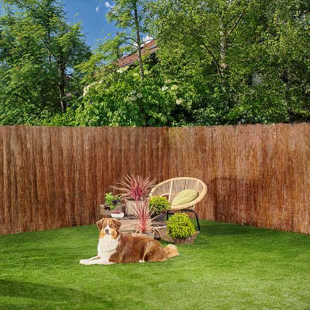 CLONA NA PLOT 300/100 cm