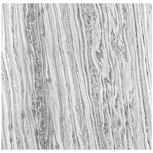 Jangal AKUSTICKÝ PANEL velikost: 52/52/0.7 cm