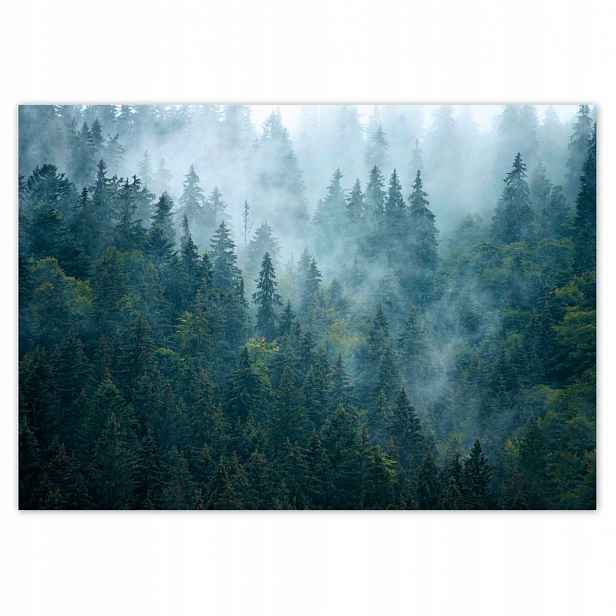 Fototapety 208x146 Les v mlze Cestování