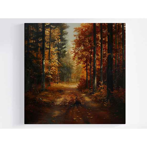 Obraz Na Plátně Canvas Příroda Les Stromy Podzim Cesta 50x50