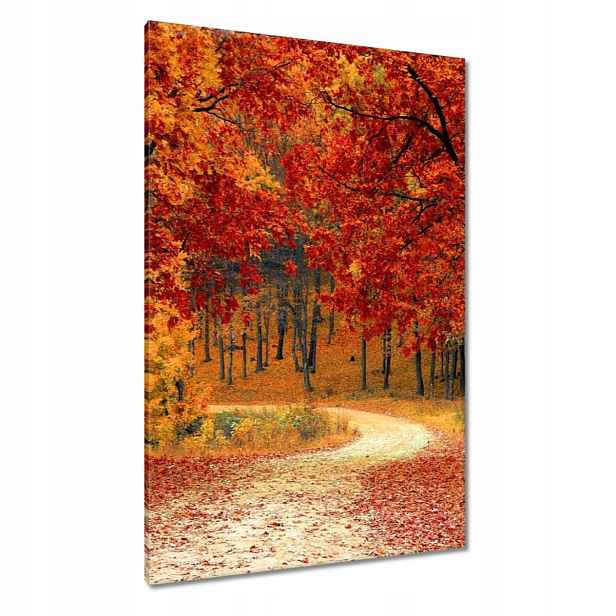 Obrazy 80x120 Krajina
