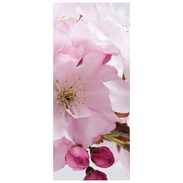 Vliesová fototapeta Kvetoucí Sakura Růžová jemnost 91x211 lepidlo
