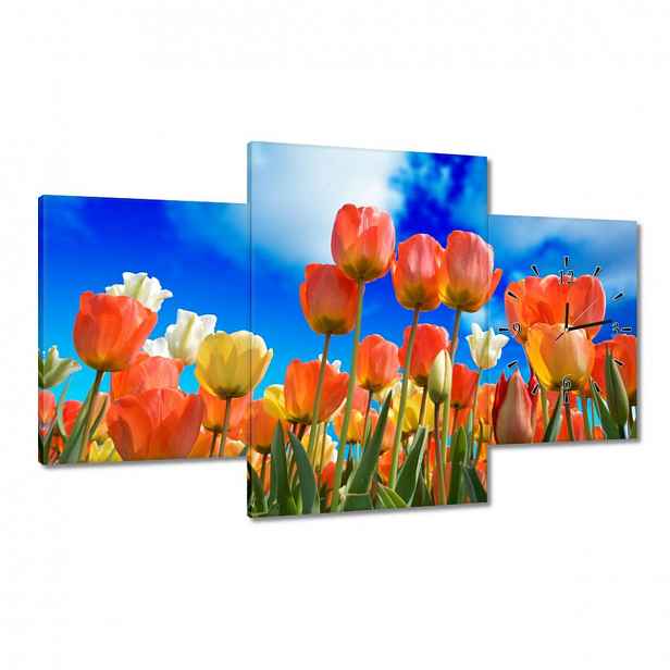 Hodiny 100x60 Barevné tulipány
