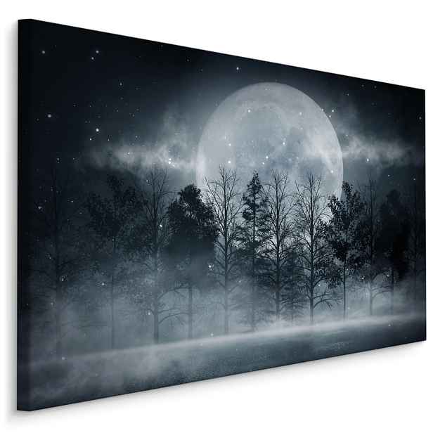 Plátno Úplněk V Zamlženém Lese Varianta: 40x30