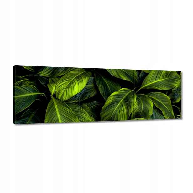 Obrazy 120x40 Krásné zelené listy