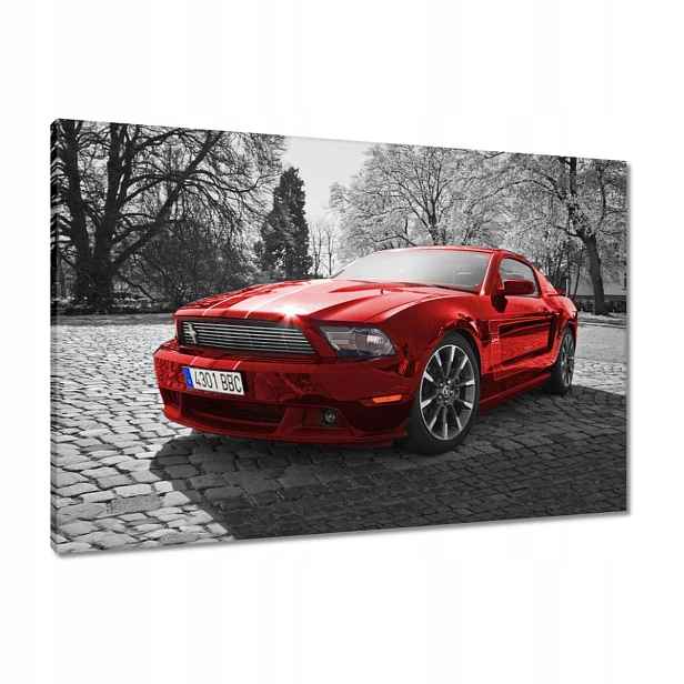 Obrazy 90x60 Červený Mustang