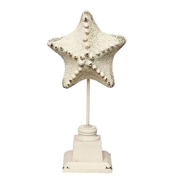 Dekorace mořská hvězdice - 15*9*32 cm Clayre & Eef