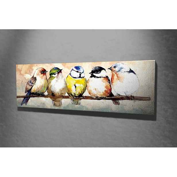 Hanah Home Obraz Ptáčci 80x30 cm