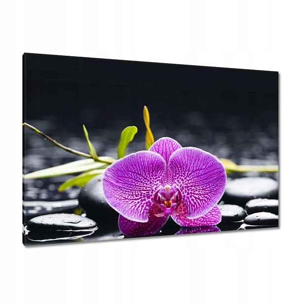 Obrazy 120x80 Fialová orchidej