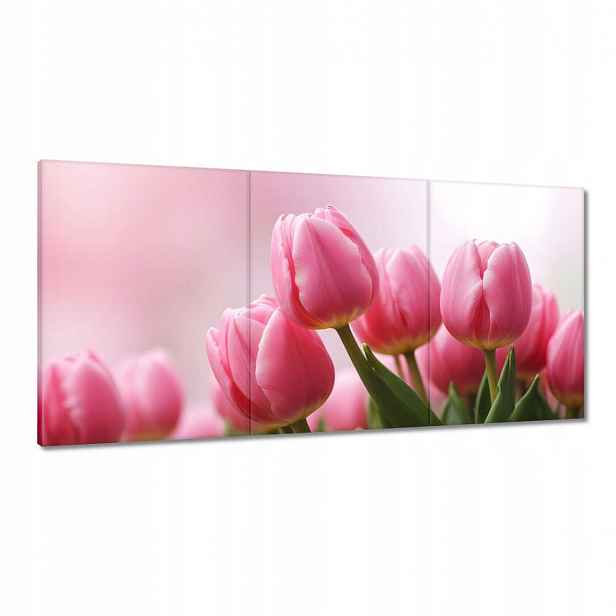 Obrazy 120x60 Růžové tulipány